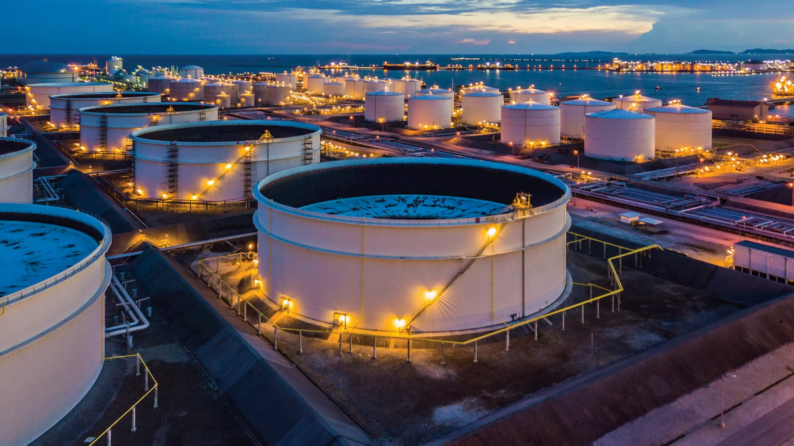 ATOM fuels their ambitious growth plans supported by NetSuite and Annexa