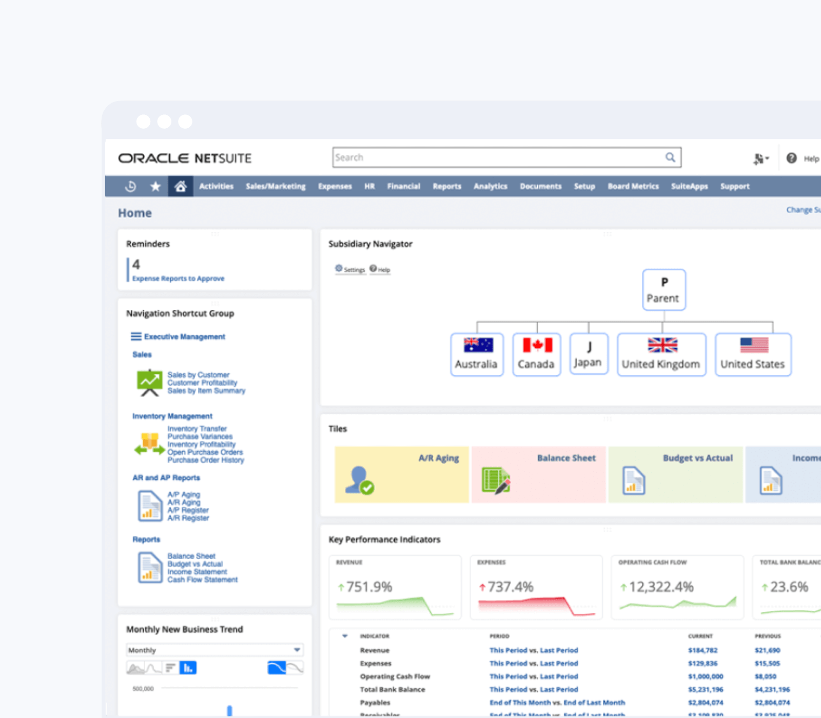 netsuite-annexa-global-capabilities