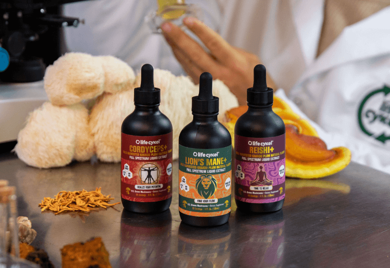 Life Cykel has so mush-room for growth with NetSuite and Annexa