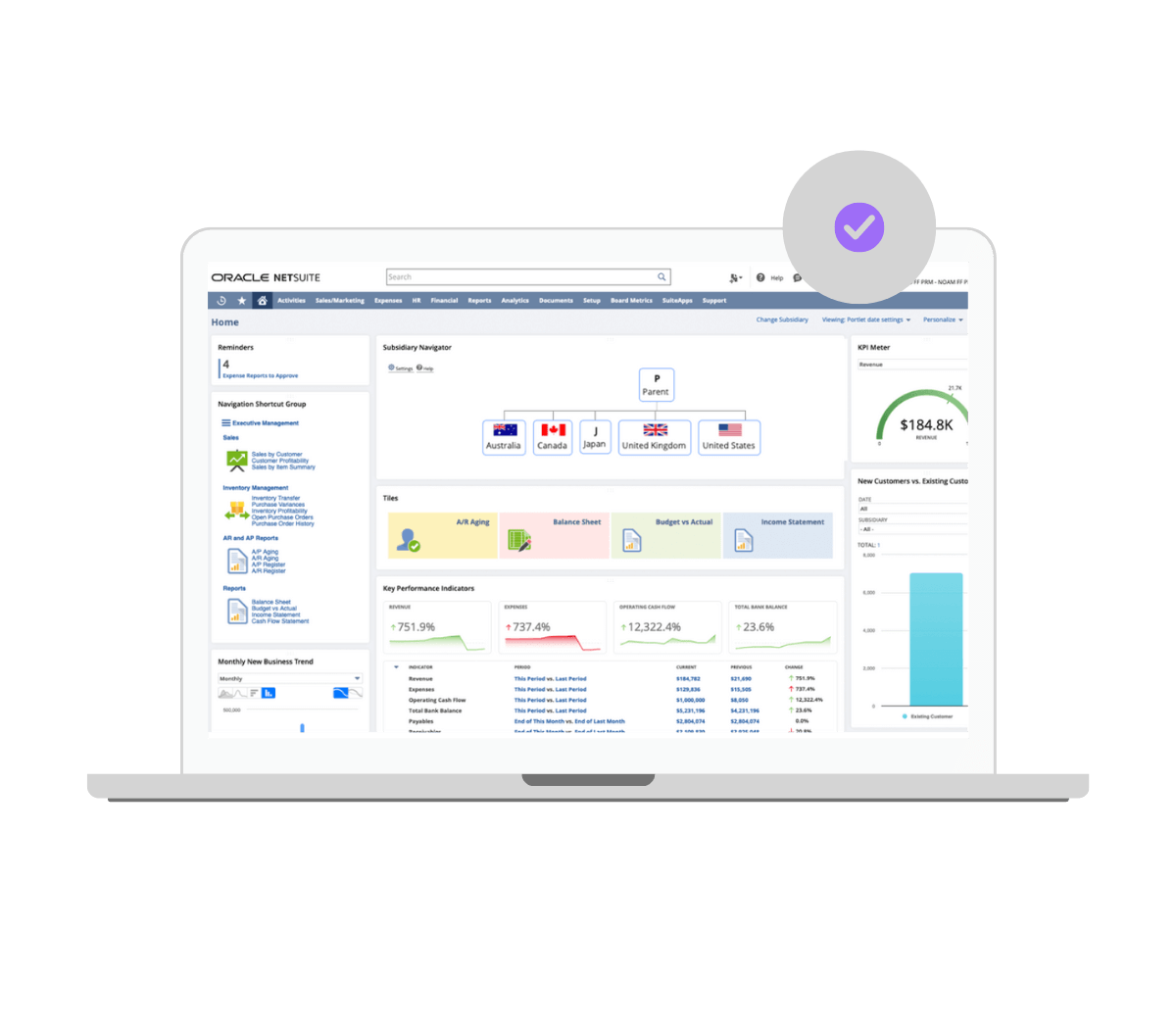 NetSuite Optimisation
