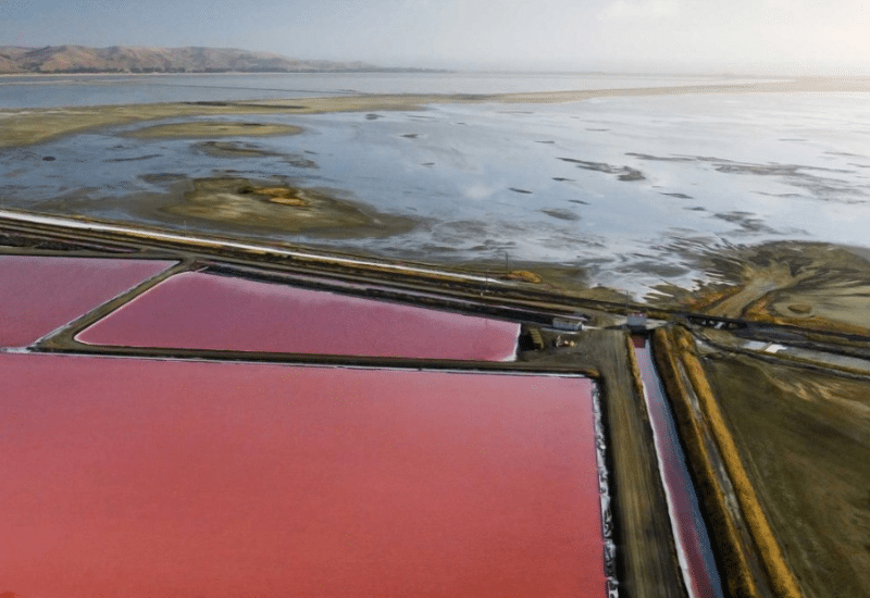 Dominion Salt seasons its operations for the next generation with NetSuite
