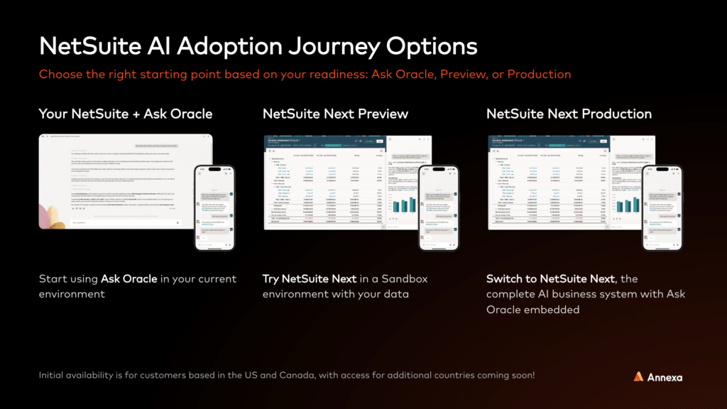 NetSuite AI adoption Options